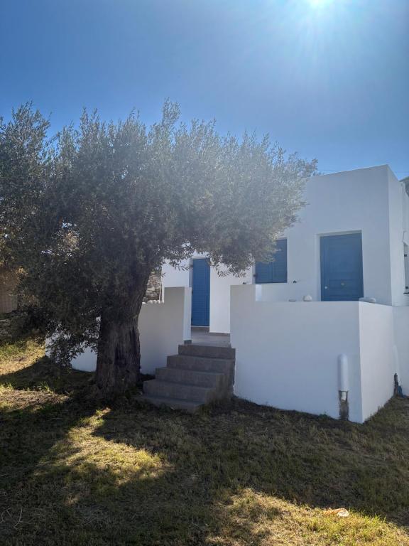 a tree next to a white building with stairs at Casa Ariadne in Náxos