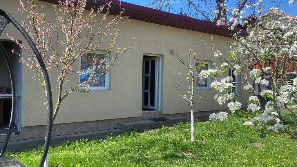 a house with two trees in front of it at Casa Baciului,Cluj-Napoca in Cluj-Napoca