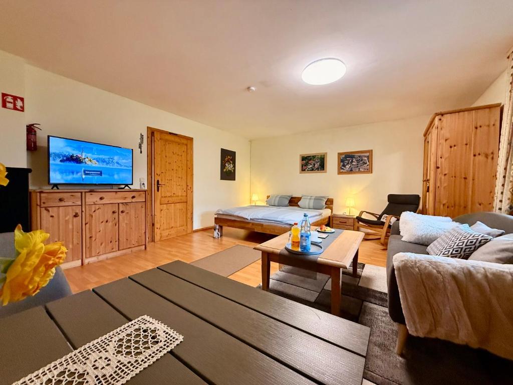 a living room with a couch and a tv at Apartment Bayerischer Wald - Ferienwohnung mit Küche, Parkplatz, WLAN & 24h Checkin in Waffenbrunn