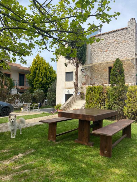 a dog standing next to a picnic table in the grass at Wave Rider Villa in Kouvéla