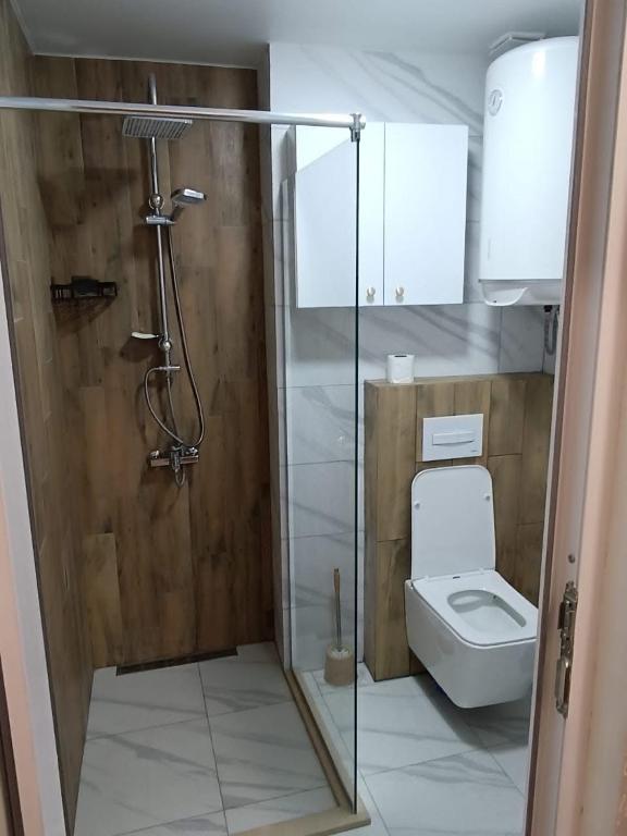 a bathroom with a shower and a toilet at ევრო პალას გონიო in Kvariati