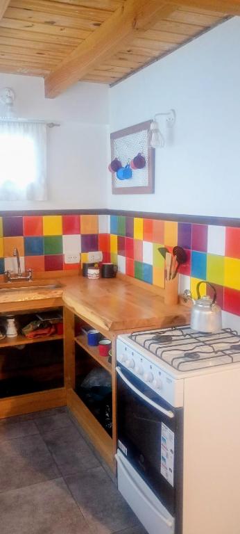 a kitchen with a stove and a counter top at Amapolas monoambiente in El Bolsón