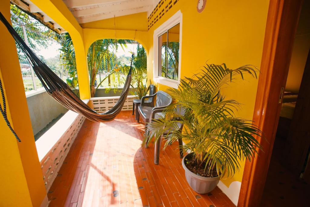 a porch with a hammock and a plant at Casa Manglares Capurganá in Acanti