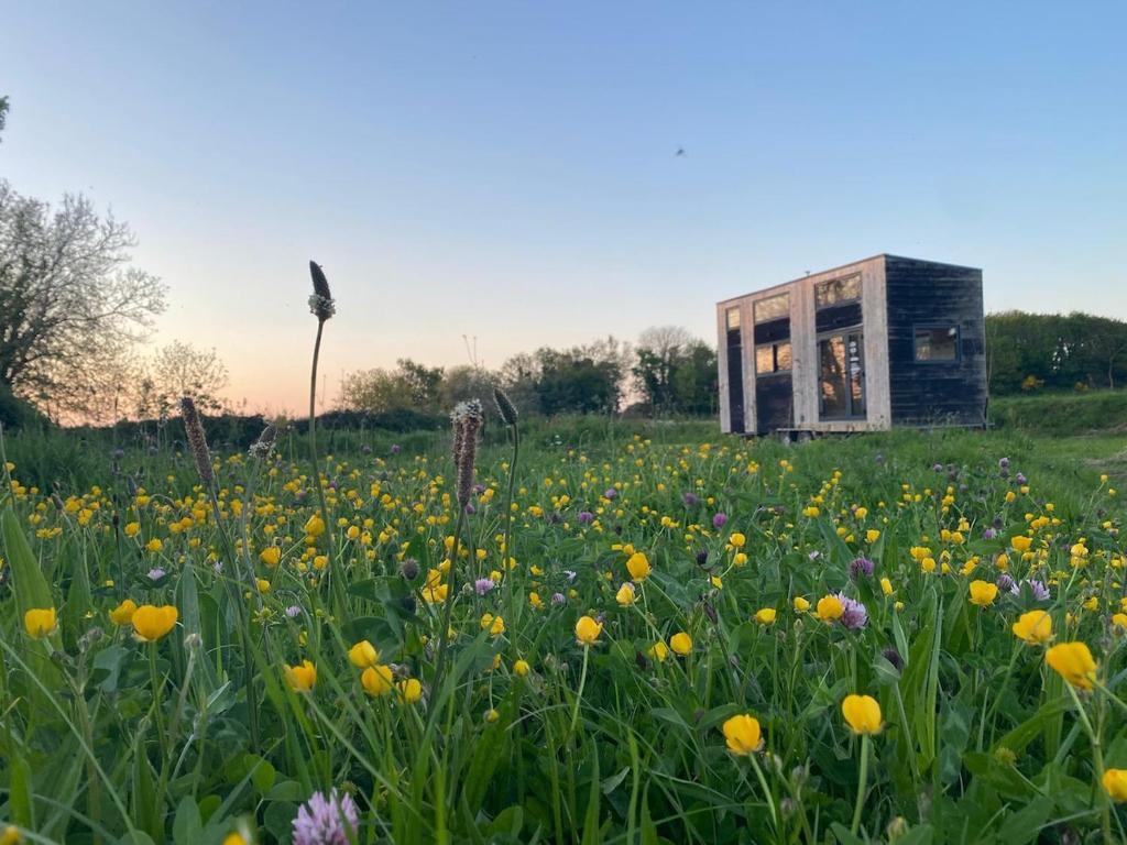 a field of flowers with a building in the background at La tiny house Low Tech in Cléder