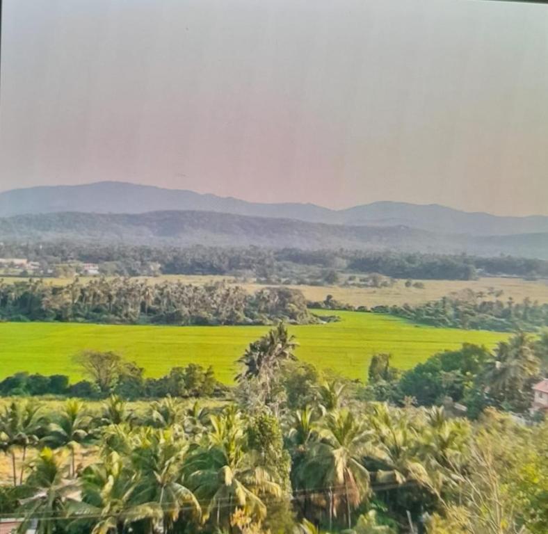 a green field with palm trees and mountains in the background at Wonderville Ensuite Rooms in Cuncolim