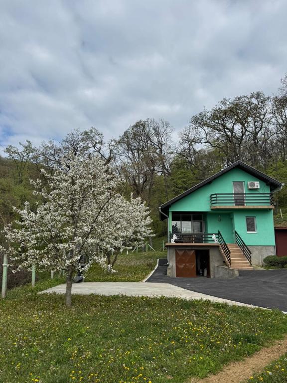 a green house with a tree in front of it at Fruškogorska bajka in Velika Remeta