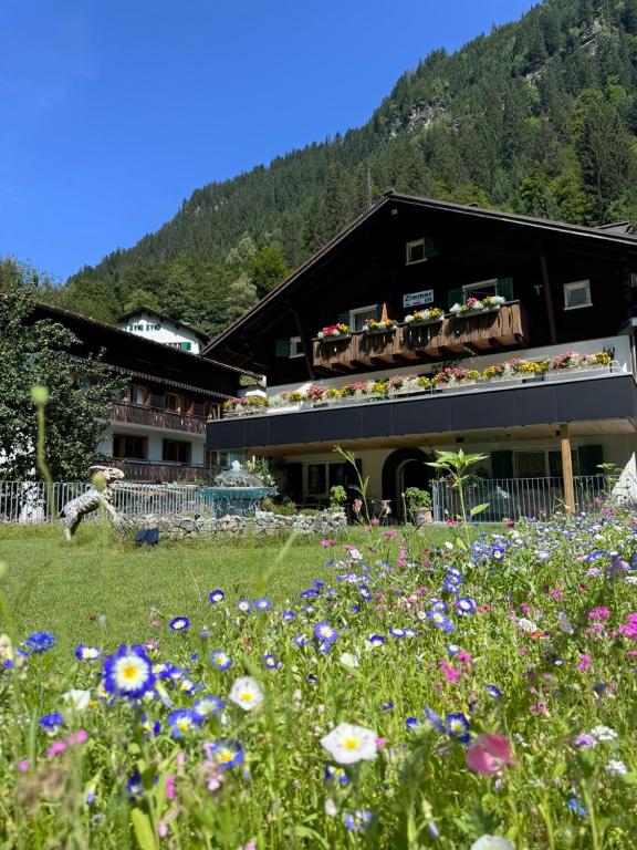 a building with a field of flowers in front of it at Haus am Rain in Partenen