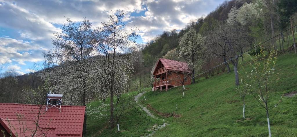 a small wooden cabin on a hill in a field at Cabana Ulmului in Vişeu de Sus