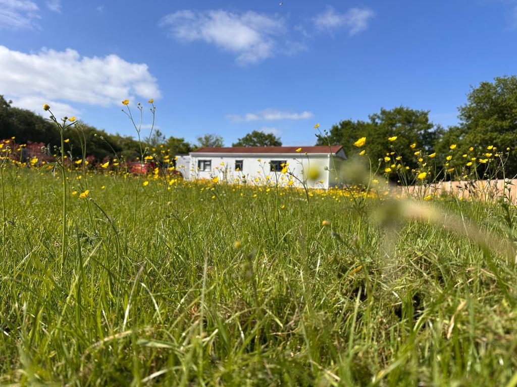 a field of grass with a house in the background at Toad Hall Suite in Chelmsford