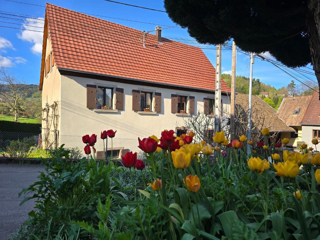 a house with a bunch of flowers in front of it at Echappée Verte in Breitenbach-Haut-Rhin