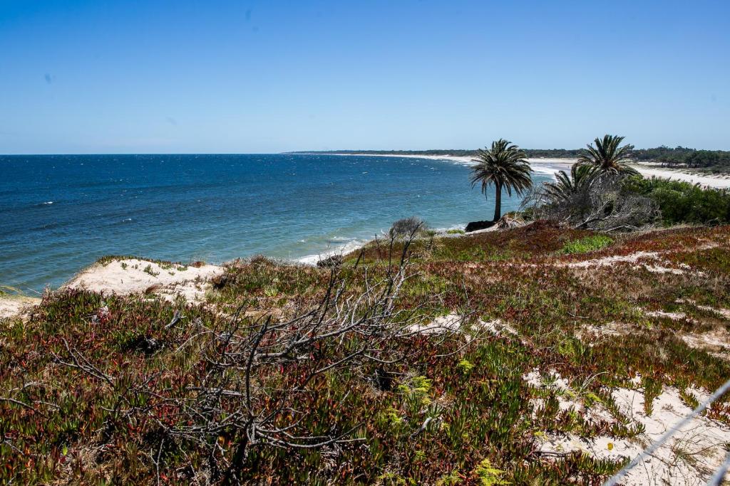 Alción Cabañas de Mar