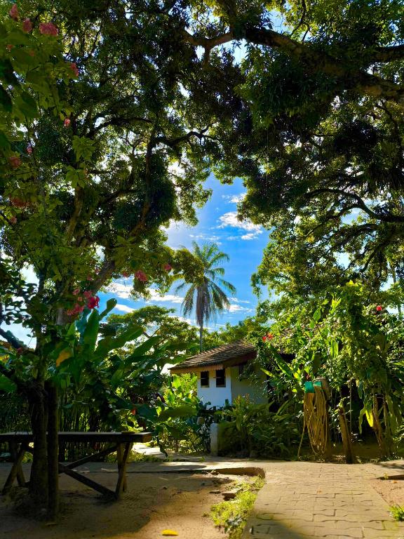 a bench in front of a house with a palm tree at Pousada Coco Dendê in Ilha de Boipeba