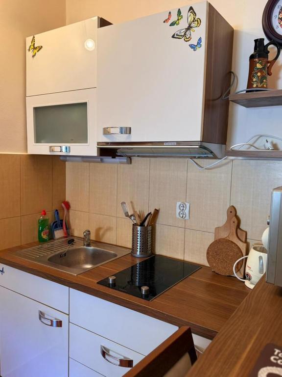 a kitchen with a sink and a counter top at Neva in Budva