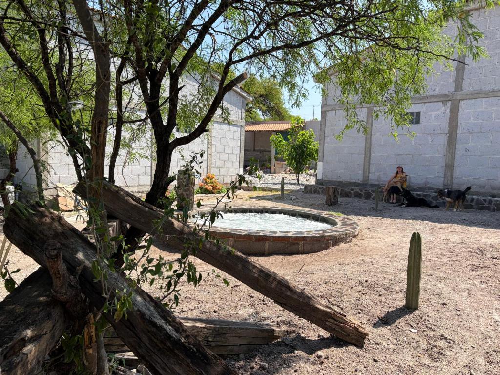 a person sitting on a bench next to a tree at Restaurante y Cabañas Cané in Colón