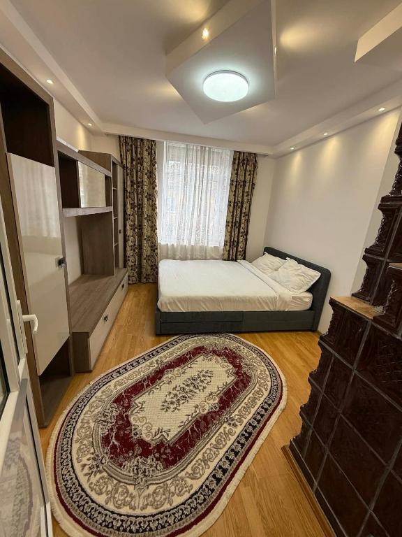 a small bedroom with a bed and a large rug at Kaira place in Lupeni