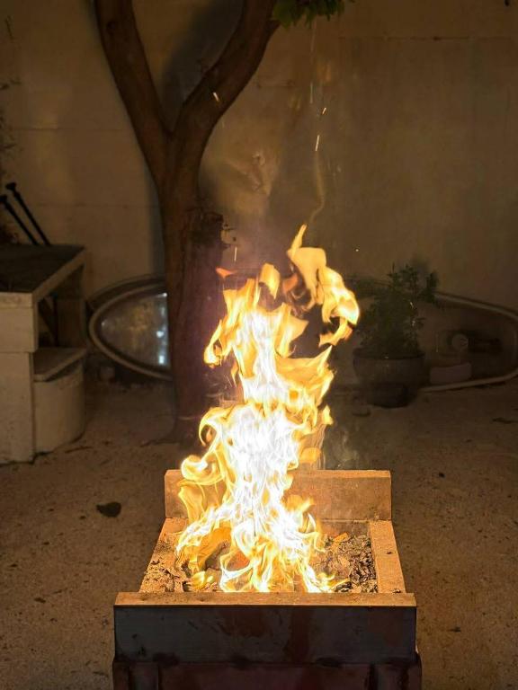a fire burning in a box with a tree in the background at Amazonite Maldives in Thulusdhoo