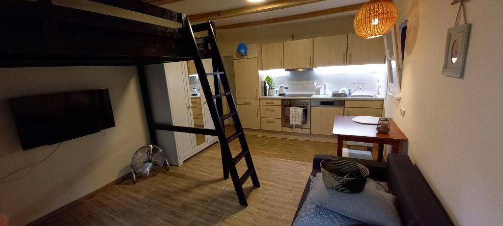 a room with a loft bed and a kitchen at Szarotka in Brenno