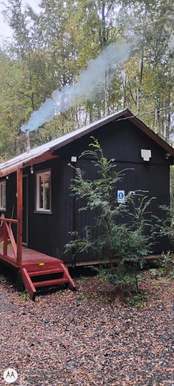a black tiny house in the woods with smoke coming out at Cabaña Ruka trinar in Curacautín