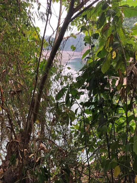 a view of the ocean from behind some trees at Hotel Puerto Selva in Villa Tunari