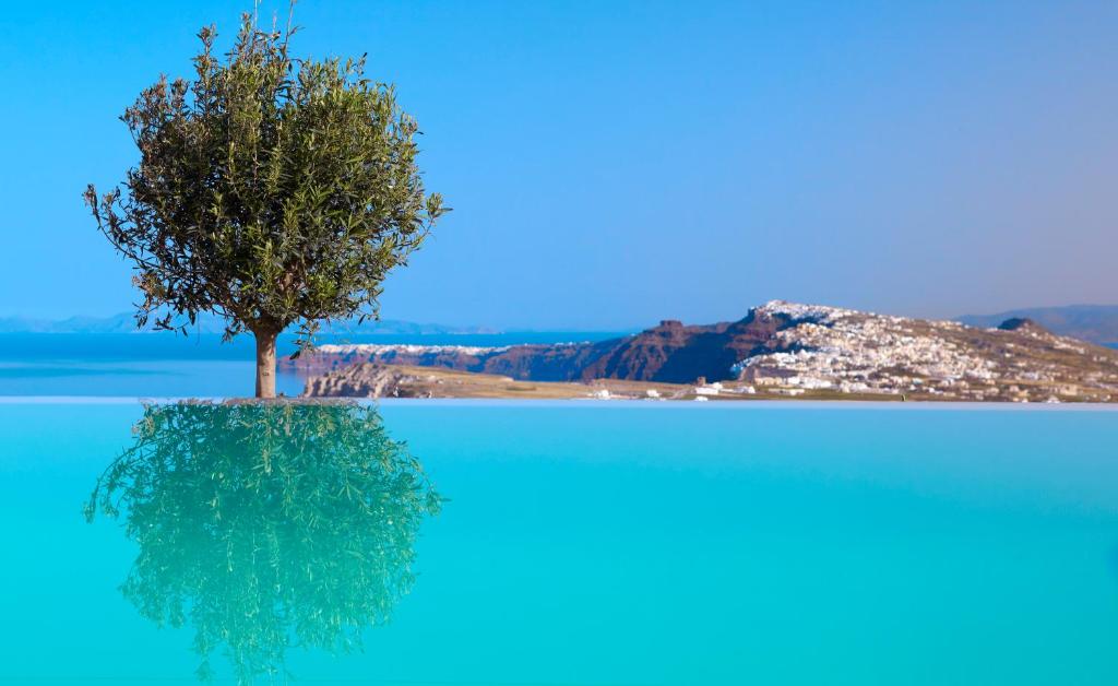 a tree in the middle of a body of water at Voreina Gallery Suites in Pyrgos