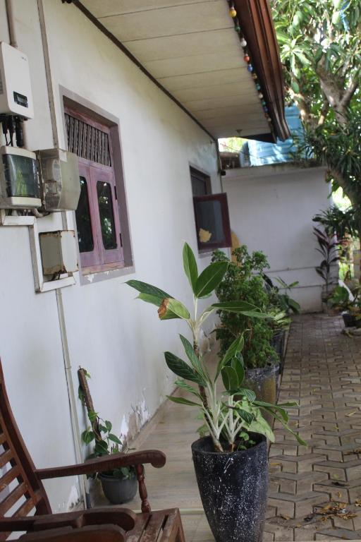 a porch with potted plants on the side of a house at surfing lion villa kudawella in Mawella