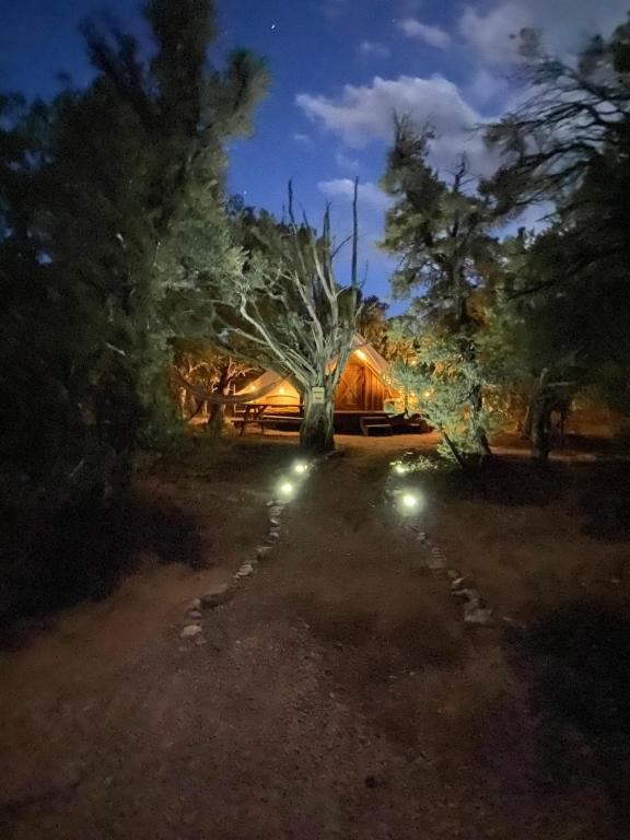 a tree in front of a house at night at Simeon in Duchesne