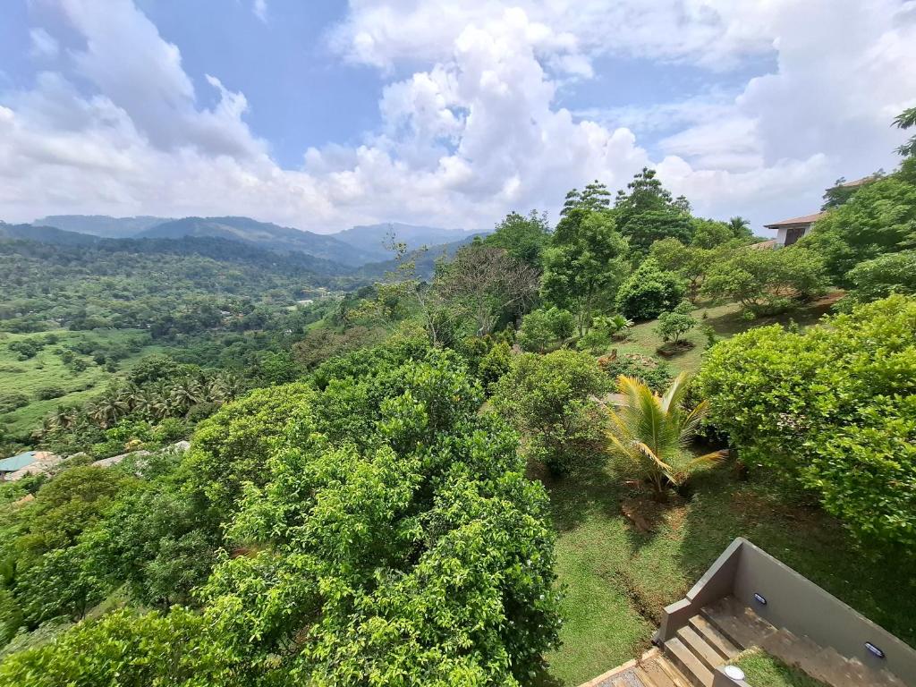 an aerial view of a valley with trees and mountains at Highgarden Hideaway Villa - Gampola in Gampola