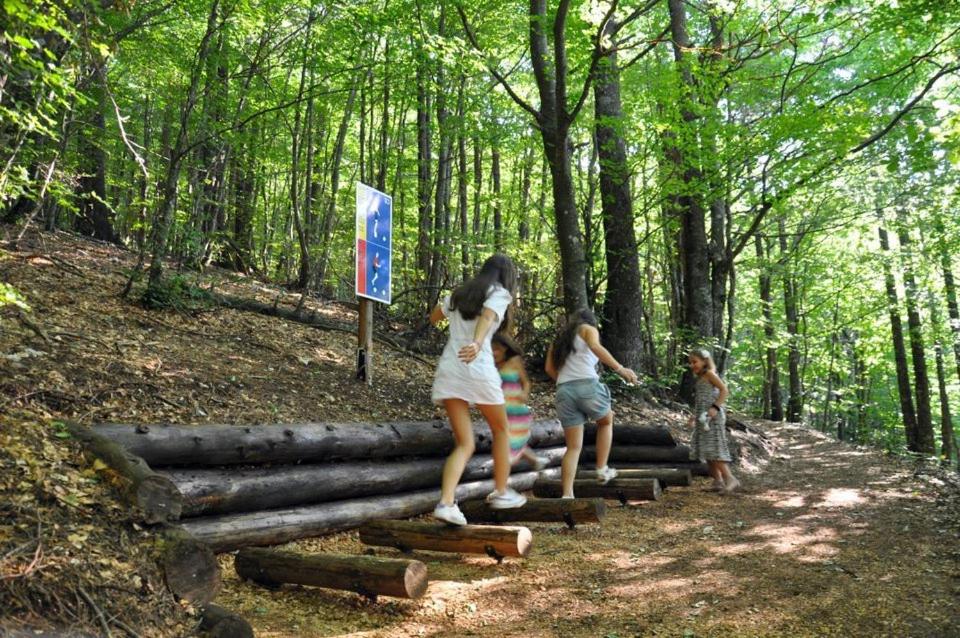 Hosté ubytování Hotel Snjezna kuca - Nature Park of Bosnia Herzegovina