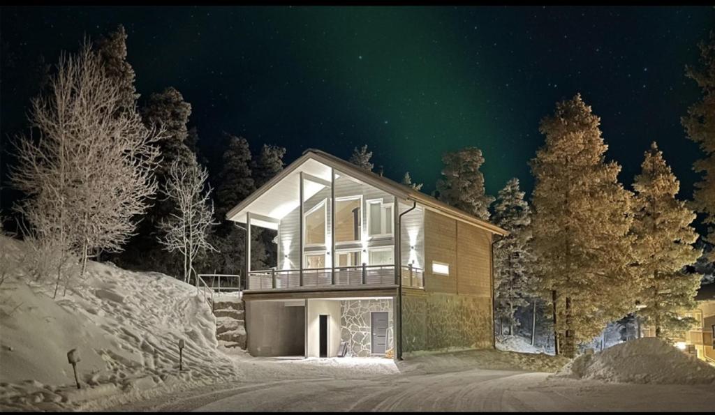a house in the snow at night with a green sky at Holy Moly by Hilla Villas in Pelkosenniemi