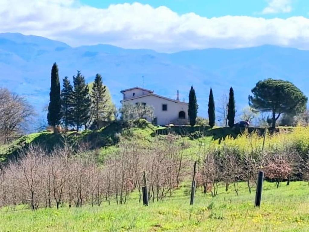 a house on a hill in a field with trees at Felciolina - Medieval Country House in Troghi