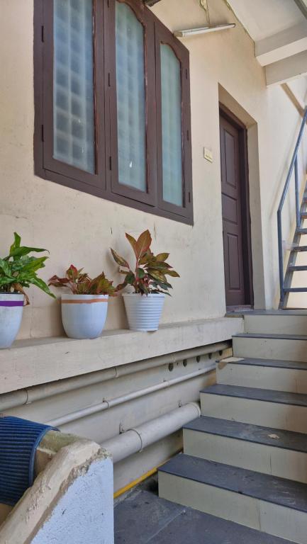 a house with three potted plants on the stairs at Yara Homes in Cochin