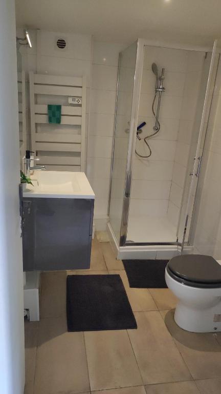 a bathroom with a toilet and a shower and a sink at L'escapade CDG Astérix Parc d'exposition in Louvres
