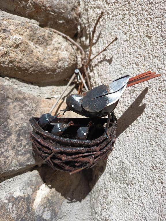 Gîte Le Patio – photo 19