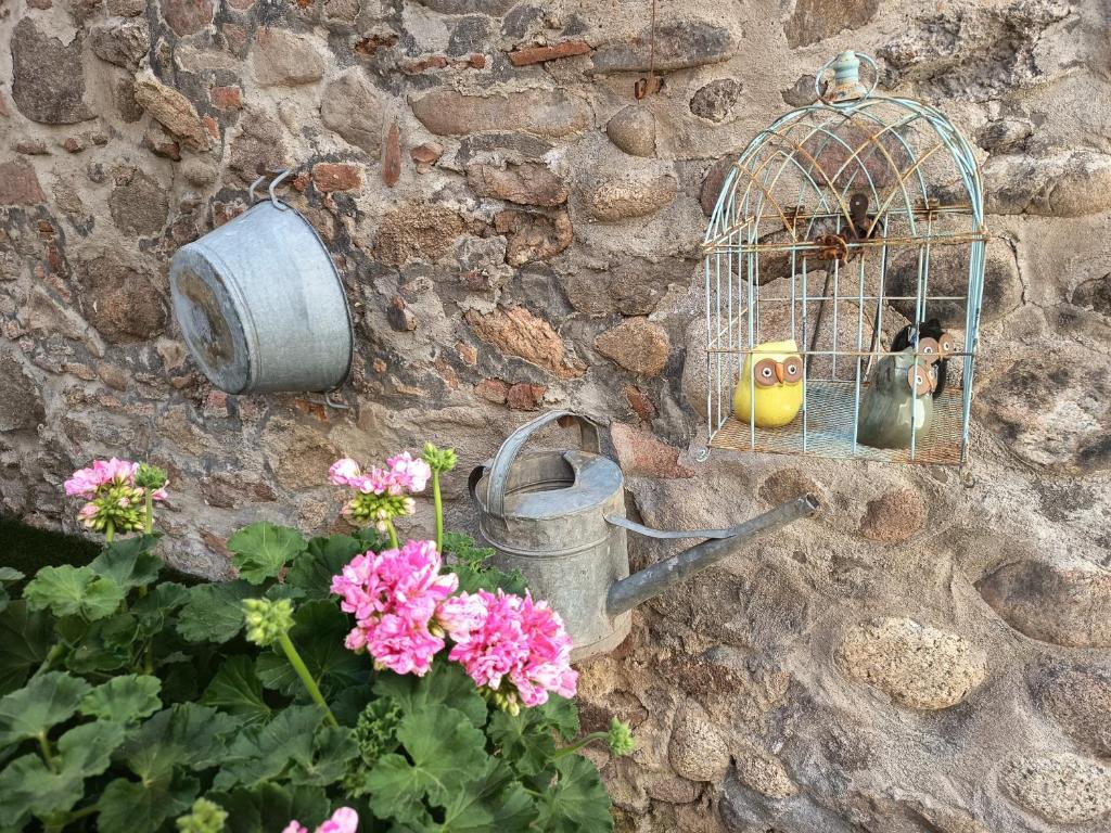 Gîte Le Patio – photo 17