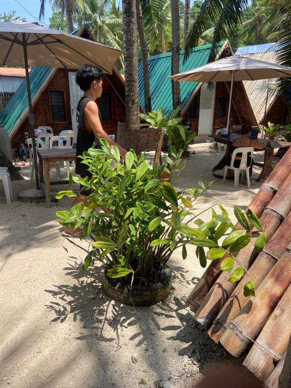 a woman sitting at a table with a plant at Sea Breeze Camp in Siquijor