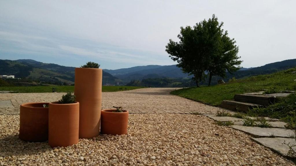 eine Schotterstraße mit zwei Topfpflanzen darauf in der Unterkunft Izal Landetxea in Bergara