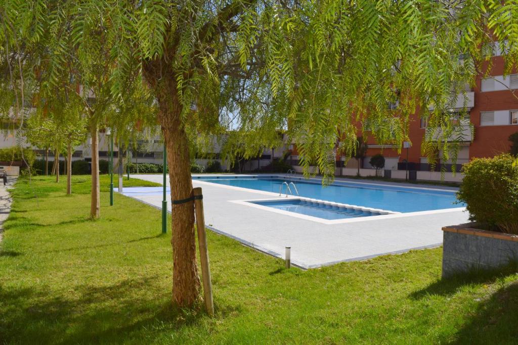 una piscina en un parque con árboles en Playa Fenals Sol y Mar, en Lloret de Mar