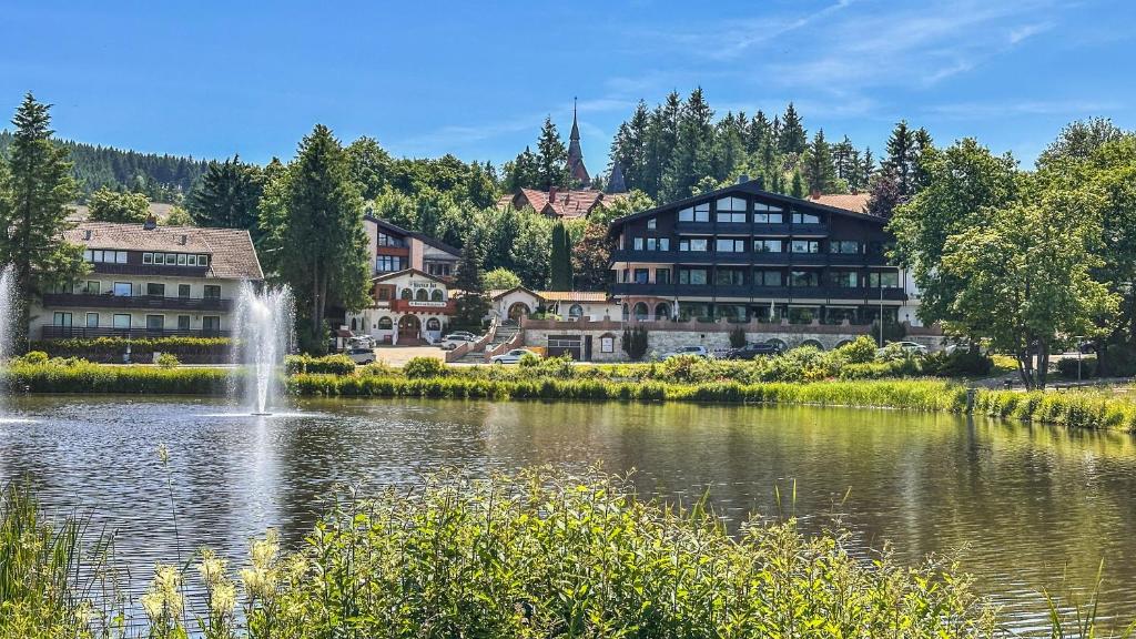 a building next to a lake with a fountain at Hotels am Kranichsee in Hahnenklee-Bockswiese