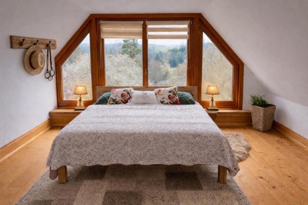 ein Schlafzimmer mit einem Bett und einem großen Fenster in der Unterkunft Do roubenky in Kamenný Malíkov
