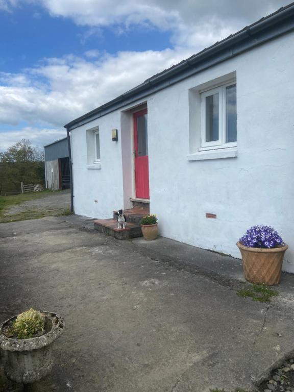 a white house with a red door and two flower pots at THE Old DAIRY in Whitland