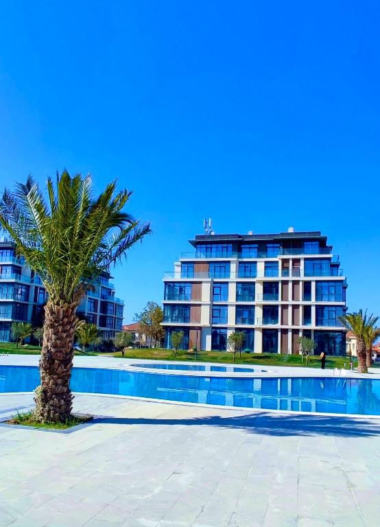 a palm tree in front of a large building at Sea Breeze Polo Residence in Baku