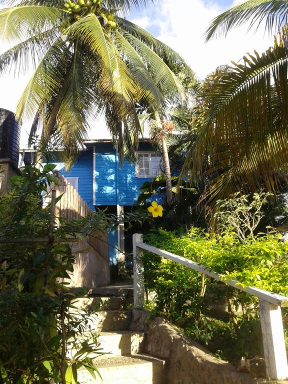 a blue house with palm trees in front of it at onelovecottagetobago upstairs apartment in Scarborough