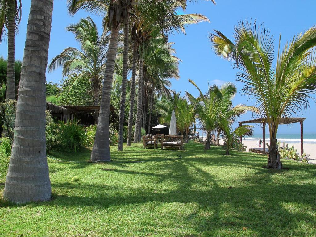 a park with palm trees and a beach at Casitas Pacificas in Máncora