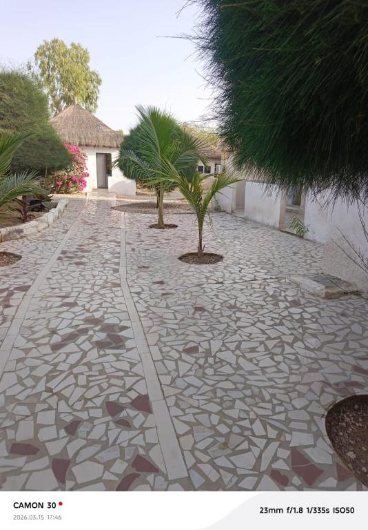 a stone walkway with two palm trees on it at A La Teranga in Poundiougne