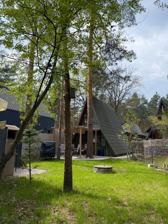 a house with a tree in the yard at Domek Kitara in Skorochow
