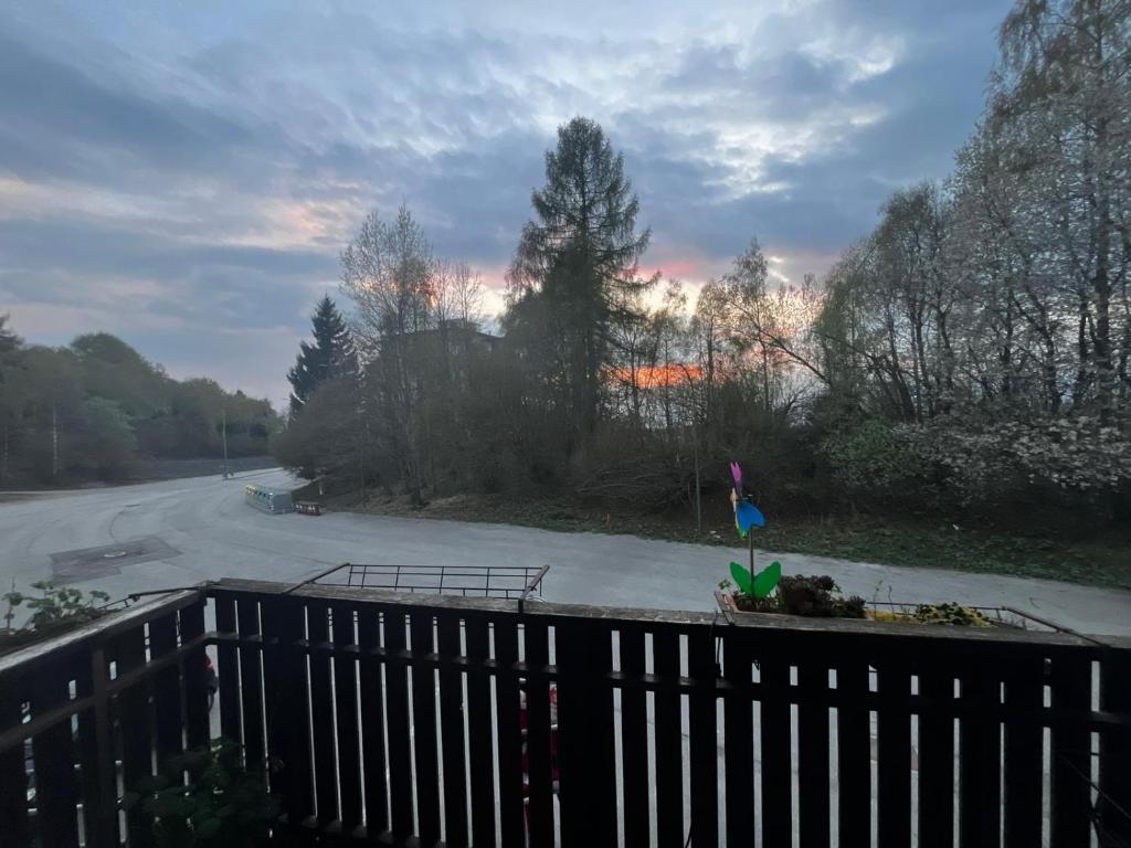 a view of a street with a fence and trees at Appartamento Tulipano in Nevegal