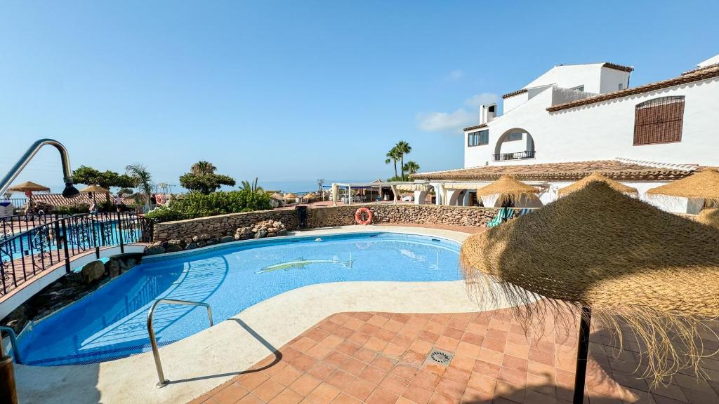 Crisantemos Nerja