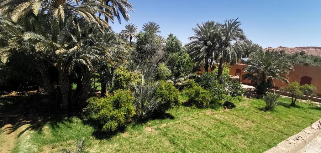 a yard with palm trees and a house at Écolodge OASIS Vallée du ZIZ Gîte DAR UL in Maarka