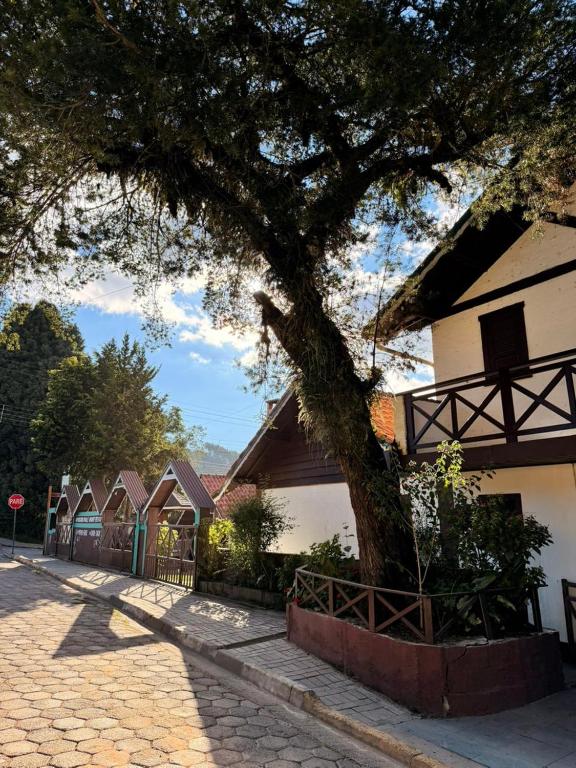 a tree in front of a building with a fence at Chales Vale da Nascente in Monte Verde