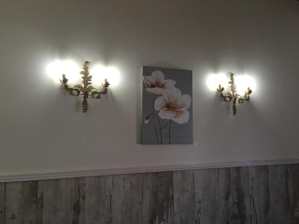 two lights on a wall with a picture of flowers at Casa Regidor2 in Rábano